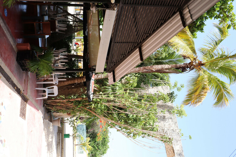 Hotel Andrea�s Tulum