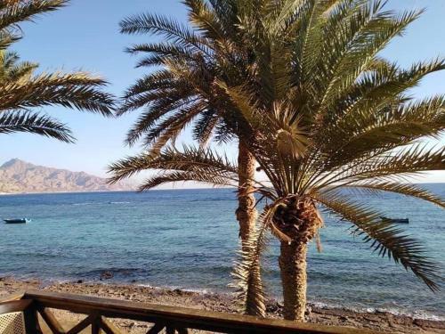 Break House