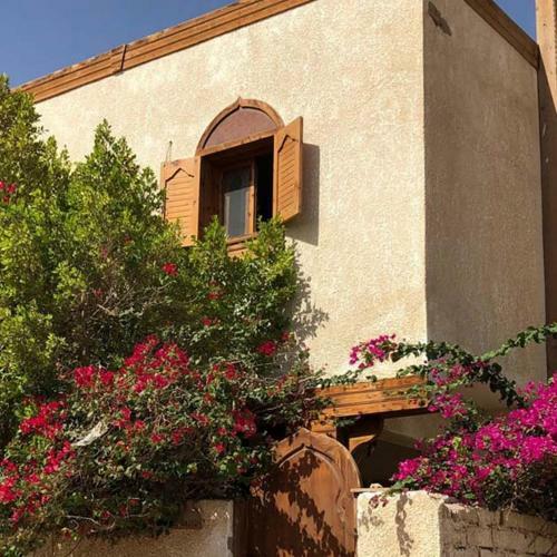 Hibiscus Dahab House