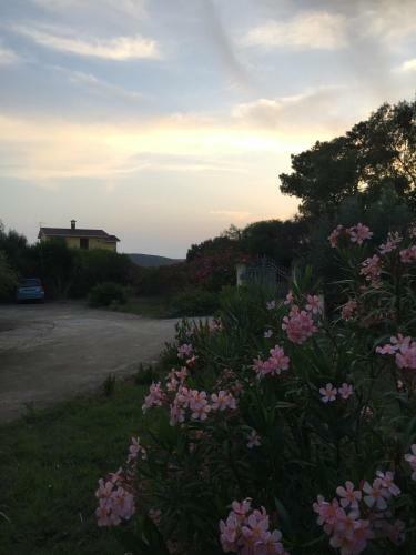 Casa Del Mar, Primo Piano, Appartamento In Villa