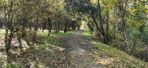 Apartamento Suite Dream - Santarcangelo Di Romagna - 500m Dal Centro Citt� E Centro Storico