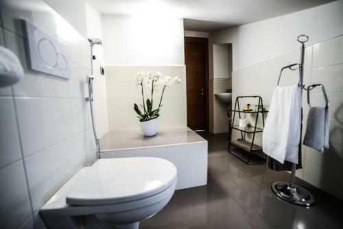 B&B Sant'erasmo