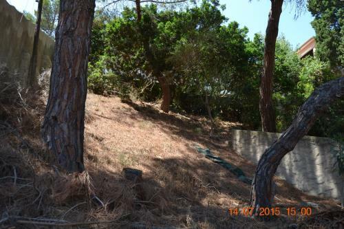 Apartamento Appartamenti Al Mare