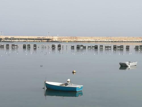 Bed & Breakfast Palese Profumo Di Mare