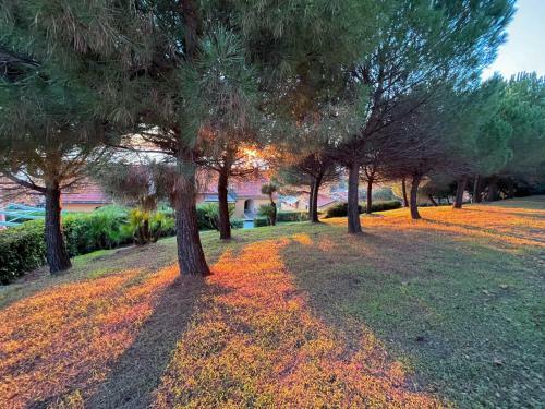 Apartamento Dh ? Finestra Sul Mare ? Santo Stefano
