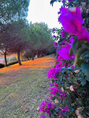 Apartamento Dh ? Finestra Sul Mare ? Santo Stefano