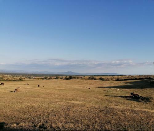Bed & Breakfast Deiana