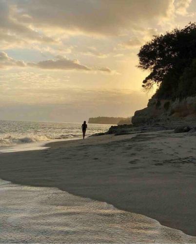 Hermoso Apartamento De Playa