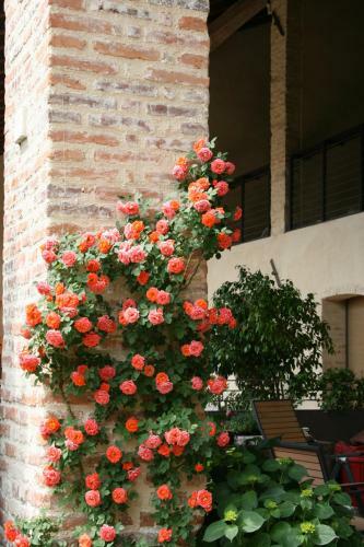 Le Tre Arti B&B
