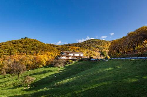 Bed & Breakfast Miravallesuites