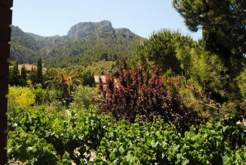 Hostal Tivissa