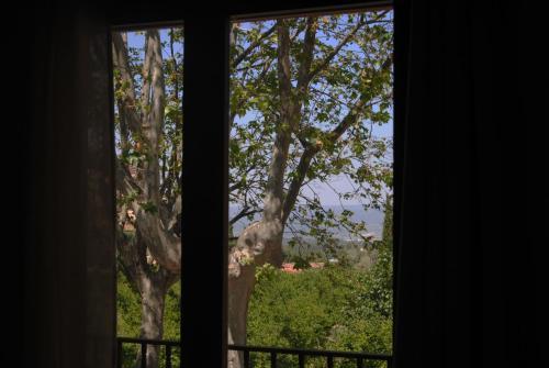 Hostal Tivissa