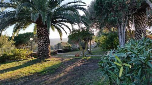 Villa La Liccia
