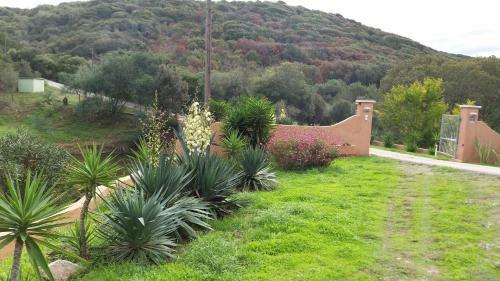Villa La Sarra
