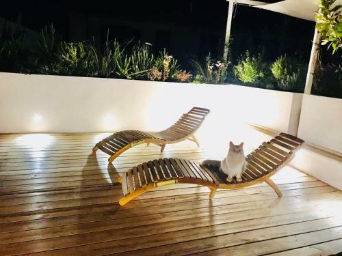 Civiconovantatre - New B&B
