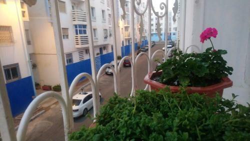 Apartamento Appartement Au Centre D'agadir Pour Familles