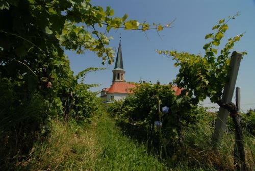 Winzerhotel V�hringer