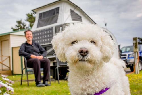 Discovery Holiday Parks - Perth