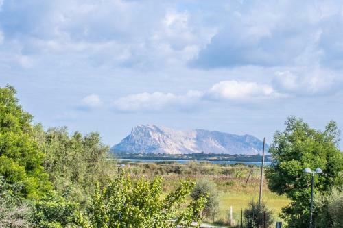 Apartamento Pedra Rosa San Teodoro A 500 Mt Dal Mare