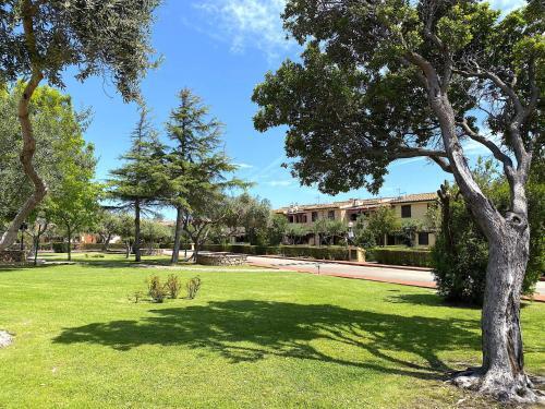Apartamento Case Vacanze San Teodoro Ulivi 173