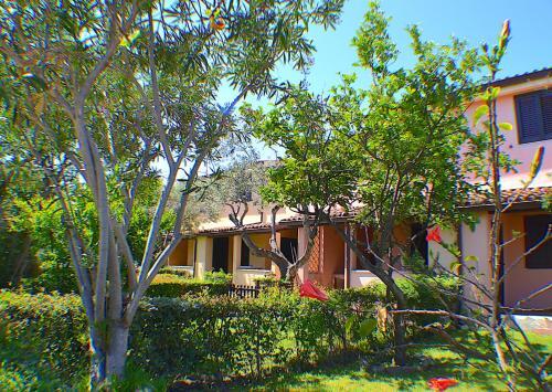 Apartamento Case Vacanze San Teodoro Ulivi 173