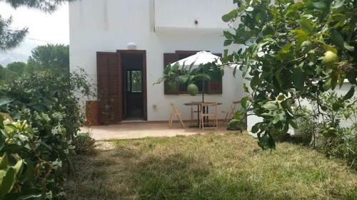 Apartamento Casa Il Limone 300m Mare Park E Giardino Priv