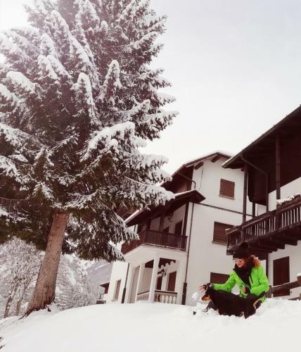 Elison-on The Lake B&B