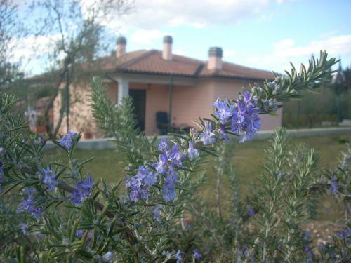 Agroturismo Residence Ai Campi Da Golf Saturnia