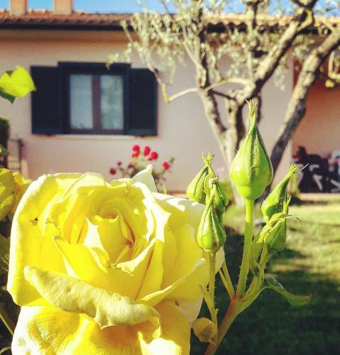 Agroturismo Residence Ai Campi Da Golf Saturnia