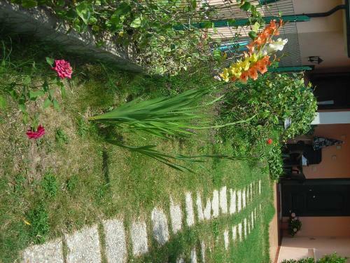 Agroturismo Residence Ai Campi Da Golf Saturnia