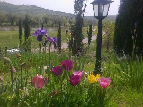 Agroturismo Residence Ai Campi Da Golf Saturnia