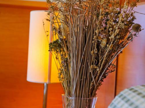 Spacious Holiday Home In Scanno With Garden