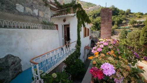 Apartamento Appartamento Rosa