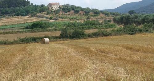 Bed & Breakfast Val Martina