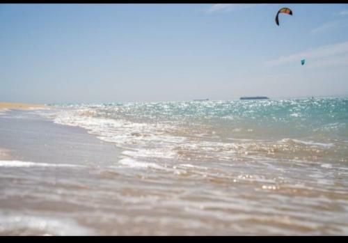 Sea La Vie