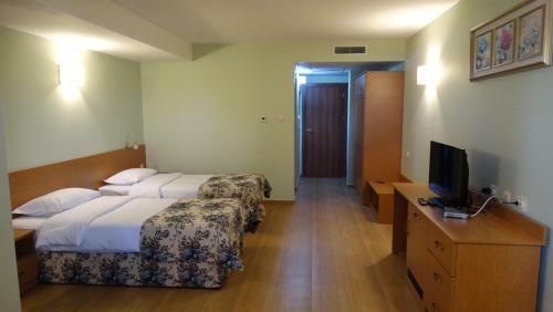Hotel Svetitsata