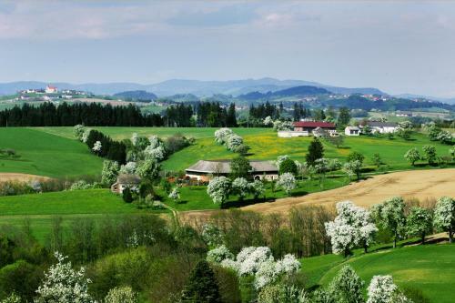 Hostal Gasthof Zur Donaubr�cke