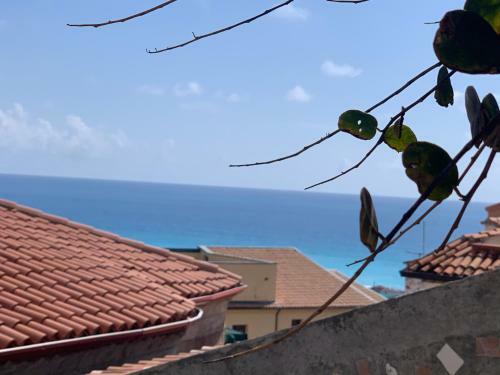 Casa Vacanze Irene