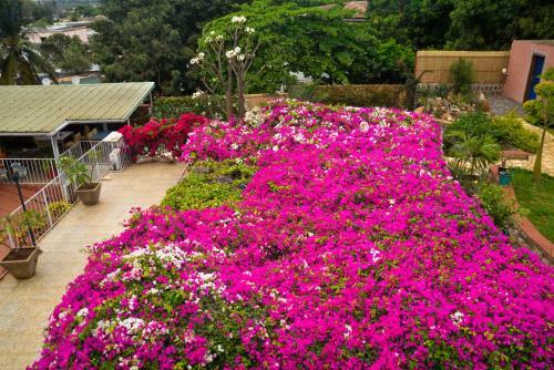 Le Jardin Exotique Hotel