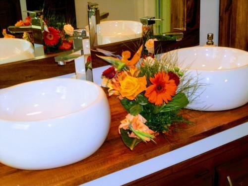 Villa Arbre Du Voyageur, 4 �toiles Et 4 Cl�vacances
