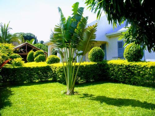 Villa Arbre Du Voyageur, 4 �toiles Et 4 Cl�vacances