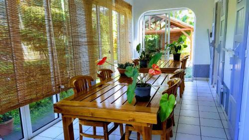Villa Arbre Du Voyageur, 4 �toiles Et 4 Cl�vacances