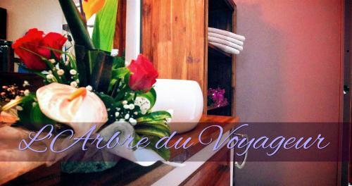 Villa Arbre Du Voyageur, 4 �toiles Et 4 Cl�vacances