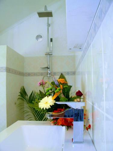 Villa Arbre Du Voyageur, 4 �toiles Et 4 Cl�vacances