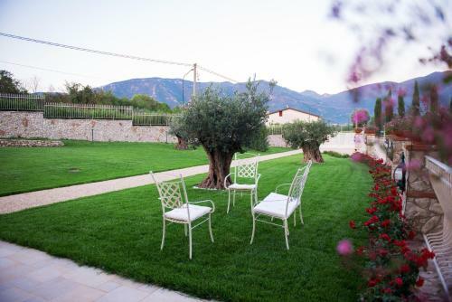 Bed & Breakfast Maral�