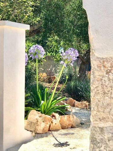 Trullo Falco