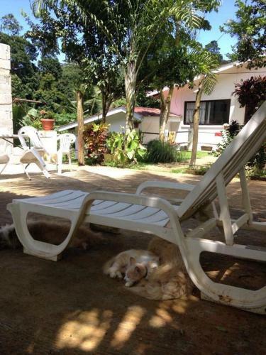 Papayas Self Catering Room