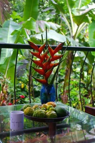 Papayas Self Catering Room