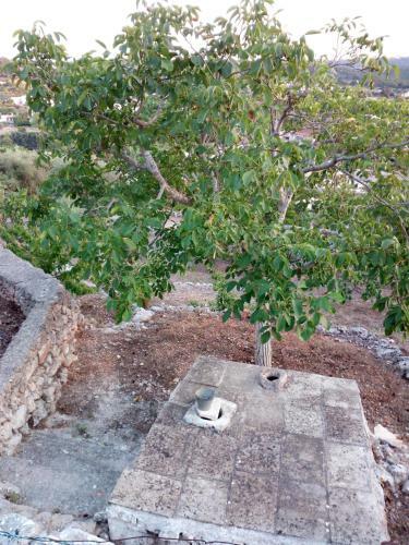 Apartamento Villa Anna