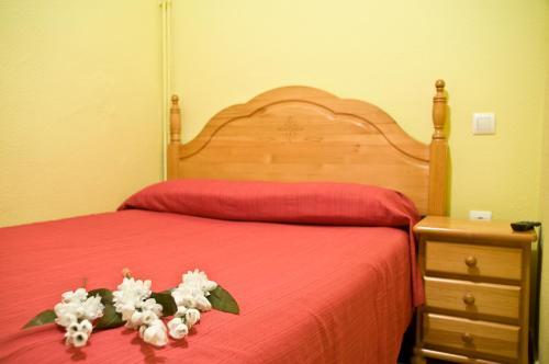 Hostal Pensi�n Aries II